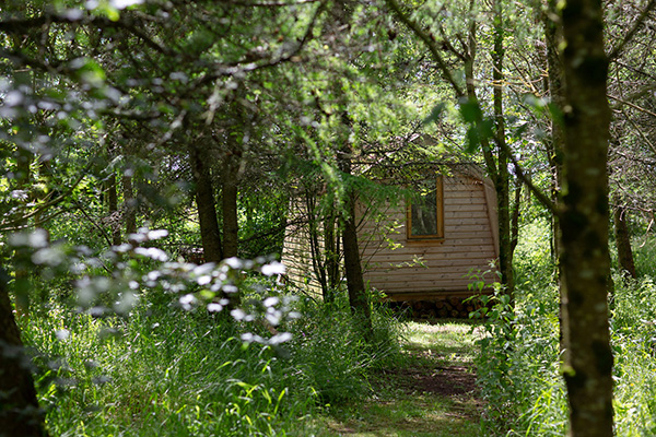 Cwtch Woodland Camp, Pembrokeshire
