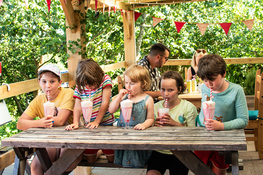 Rowan Tree Cafe at Dewslake Farm